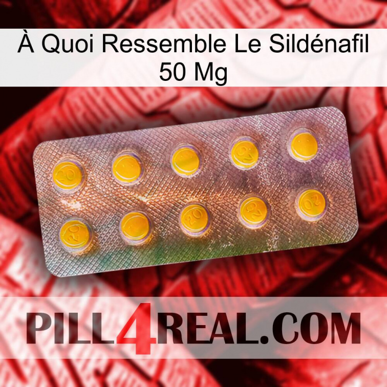 À Quoi Ressemble Le Sildénafil 50 Mg new11